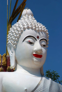 White Buddha的雕像