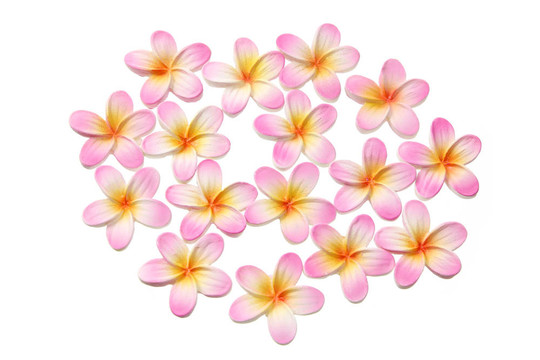 開滿了鮮花