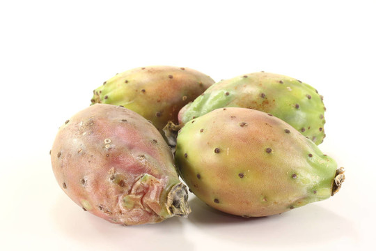 多刺的梨樹(shù)