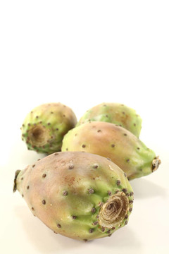 新鮮的仙人掌