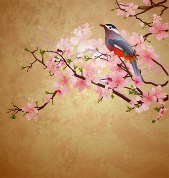 蹩腳的插圖與開(kāi)花的樹(shù)早鳥(niǎo)