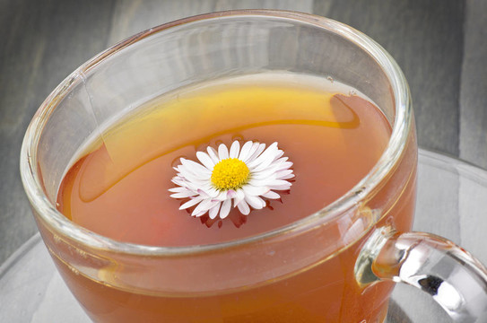 與花在洋甘菊花草茶