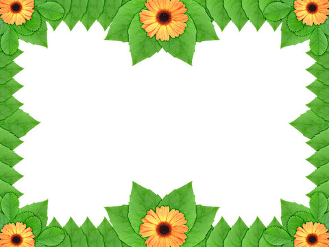 橙綠花花框