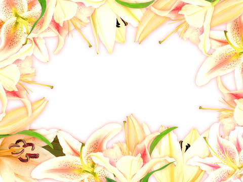 百合花花葉