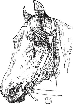 馬Headcollar位喉舌；復(fù)古雕刻
