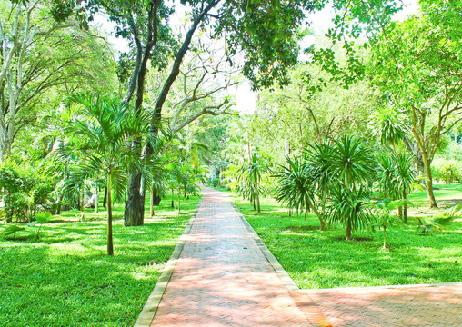 在公園里的走道