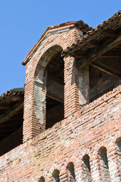 roccabianca城堡。Emilia Romagna。意大利.