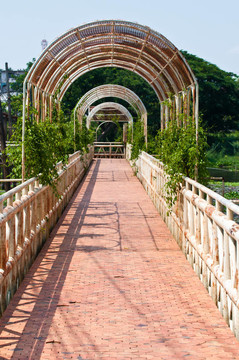 走廊在中央公園