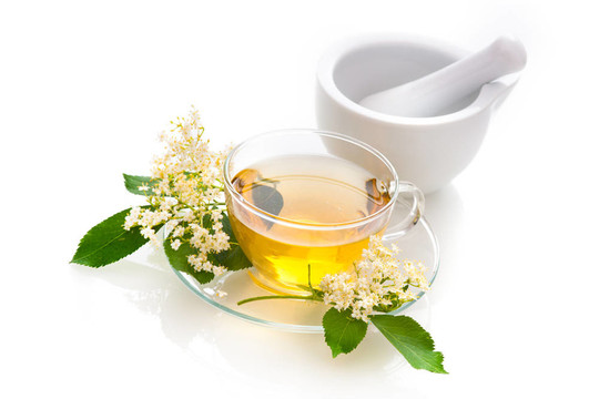 接骨木茶
