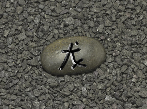長