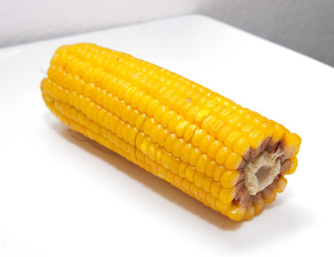 白色背景上的黃色玉米