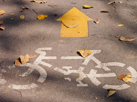 黃色箭頭和自行車標(biāo)志。