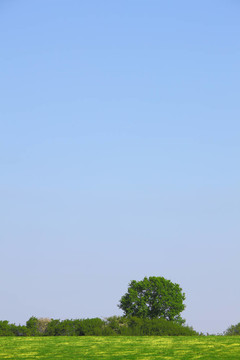 藍(lán)色的天空