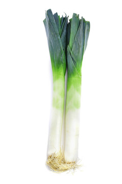 韭菜
