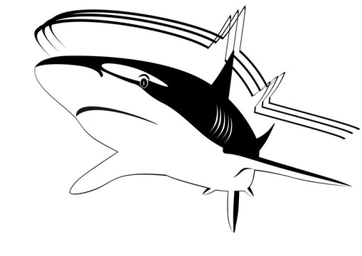 鯊魚