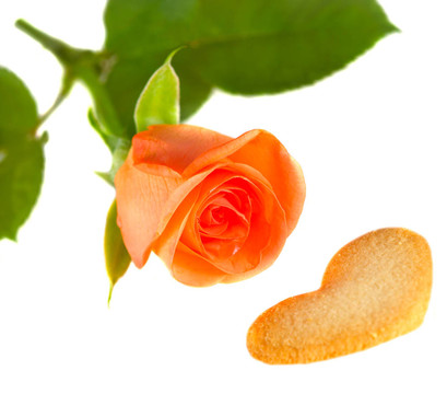 Pink Rose與心