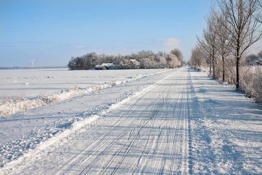 荷蘭雪田