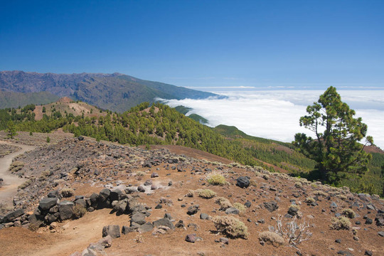 拉帕爾馬火山景觀；加那利群島