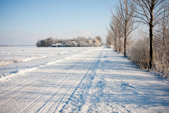 在冬天，白雪覆蓋的荷蘭農(nóng)田