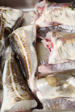 鱈魚魚魚片