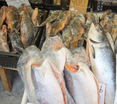 凍魚