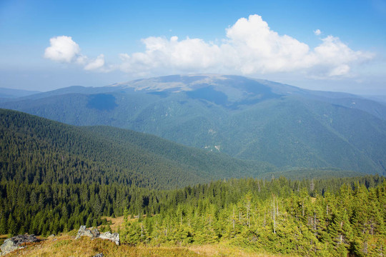 tarcu山
