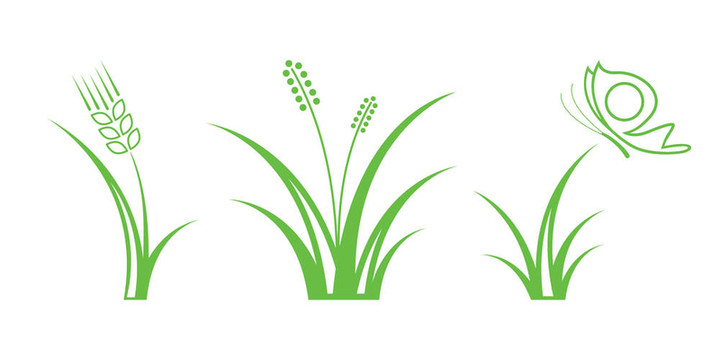 綠色自然圖標(biāo)。第1部分- Grass