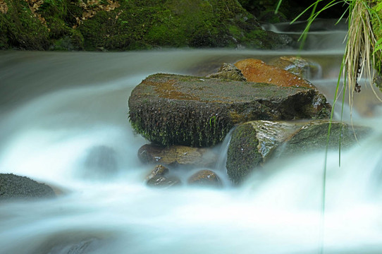 creeklobnica2
