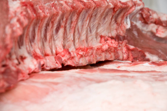 豬里脊肉