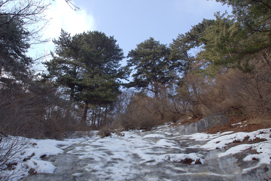 華山西峰 風光