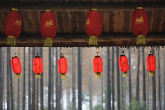 屋檐下的紅燈籠