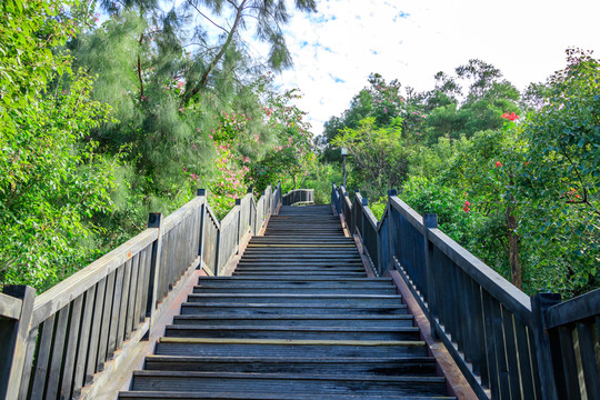 公園木走廊