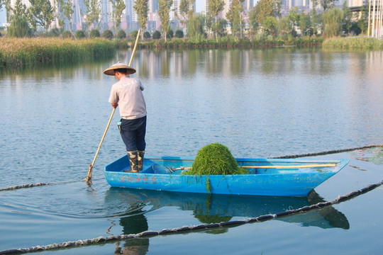 湖面清潔工撈水草