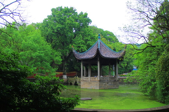 湖南大學(xué)吹魚亭