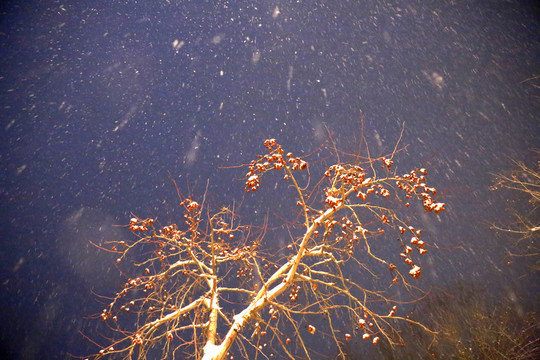 雪夜
