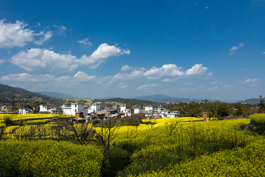 美麗鄉(xiāng)村