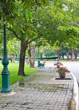 在公園里散步
