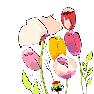 郁金香與罌粟花