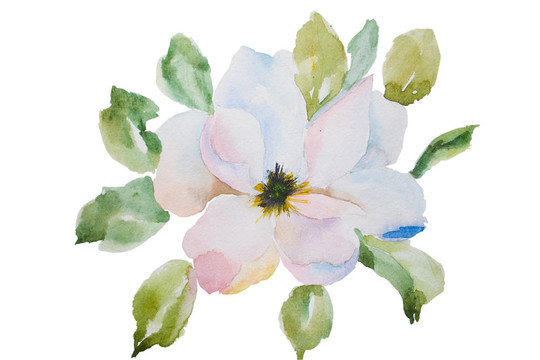 蘋果樹開花的樹枝