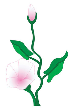花園里的花