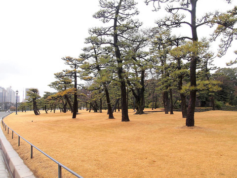 從故宮外花園看東京天際線