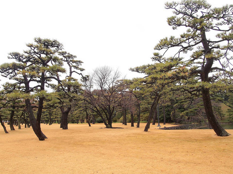 從故宮外花園看東京天際線