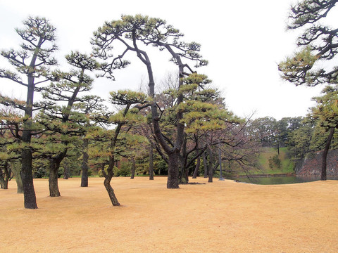 從故宮外花園看東京天際線