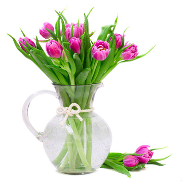 紫色郁金香花束