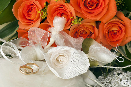 結(jié)婚禮物；結(jié)婚戒指和玫瑰花