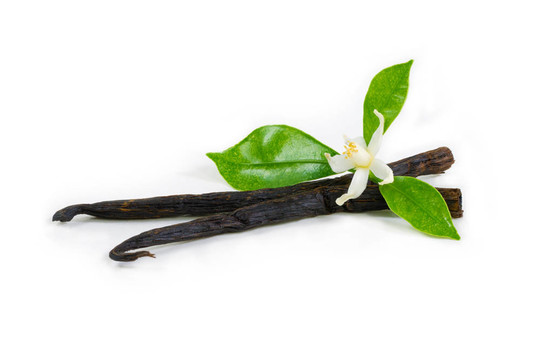 香草棒花