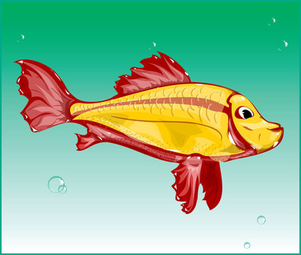 魚