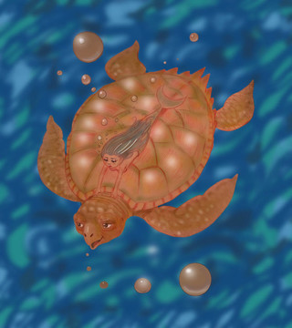 烏龜和小美人魚