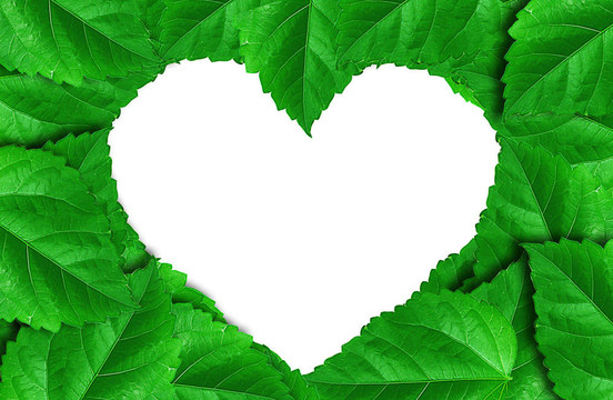 綠色植物的心臟形狀；白色背景上孤立