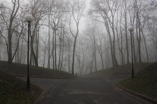 公園里的霧